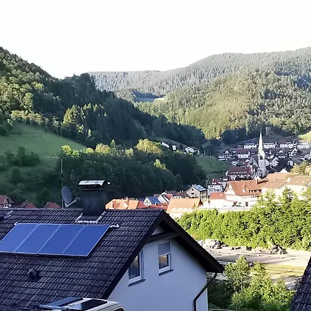 Ferienwohnung Hilde Bad Peterstal-Griesbach Zewnętrze zdjęcie