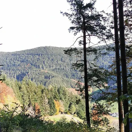 Ferienwohnung Hilde Bad Peterstal-Griesbach Zewnętrze zdjęcie